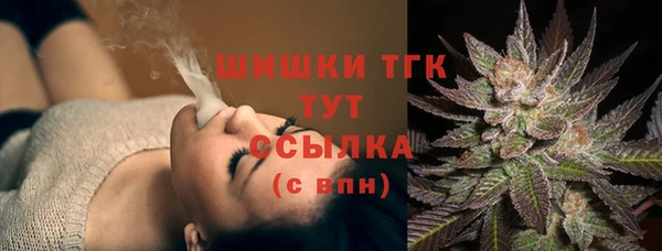 дмт Алексин