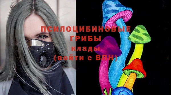 дмт Алексин